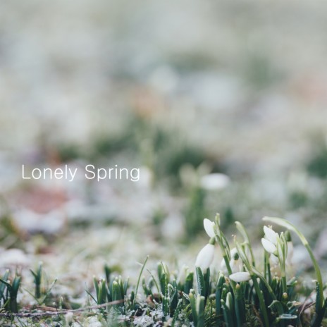 Lonely Spring