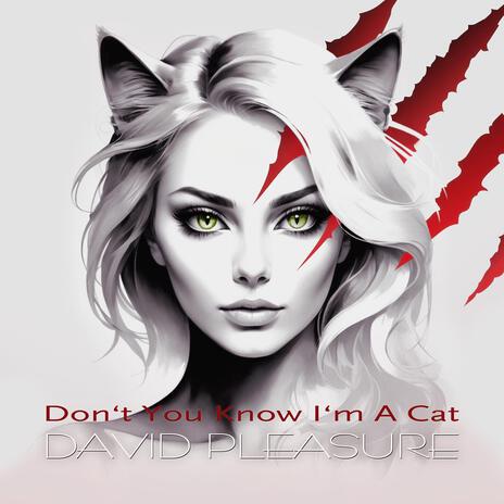 Don't You Know I'm a Cat | Boomplay Music