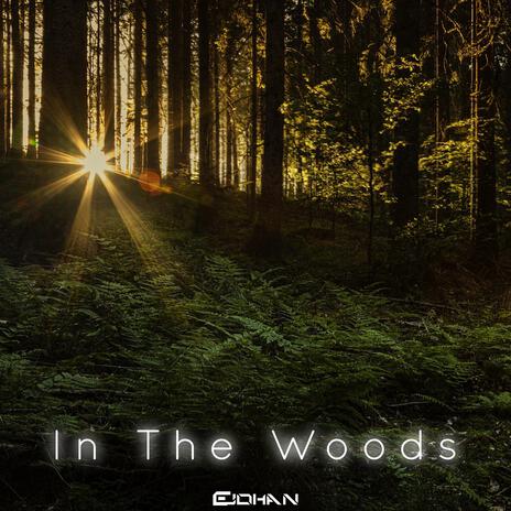 In The Woods | Boomplay Music