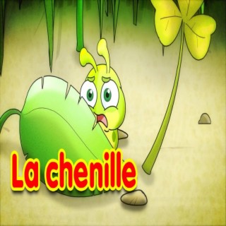 La chenille