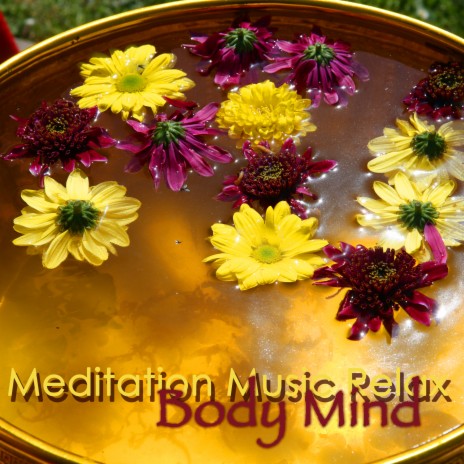 Meditation Songs | Boomplay Music