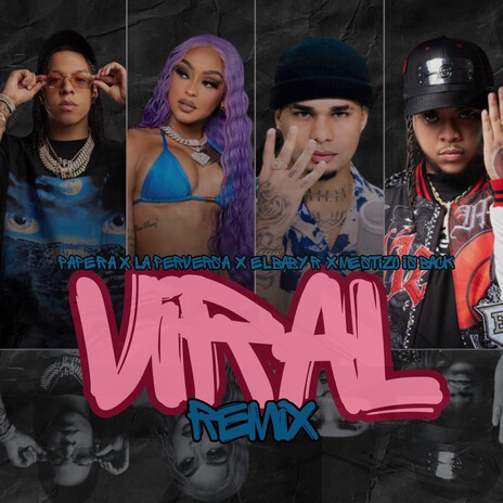 VIRAL (Remix) ft. La Perversa, El Baby R & Mestizo Is Back | Boomplay Music