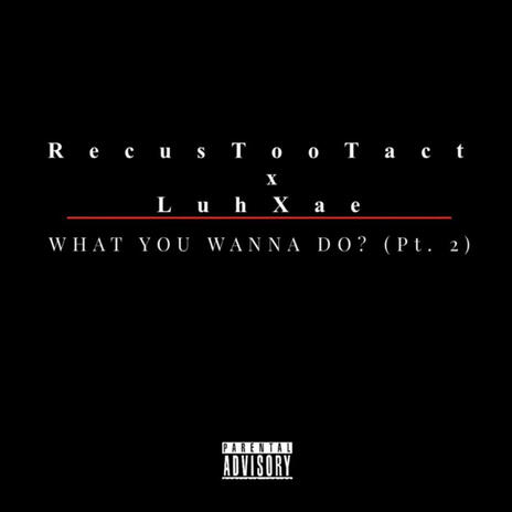 What you wanna do? (PT 2) ft. RecusTooTact | Boomplay Music