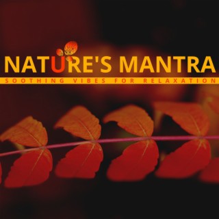 Nature's Mantra - Soothing Vibes for Relaxation