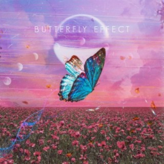 Butterfly Effect