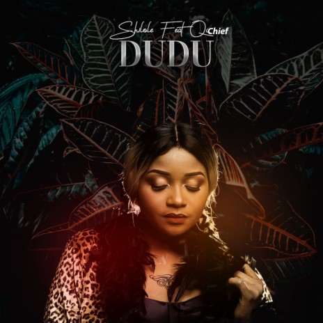 Dudu ft. Q Chief | Boomplay Music