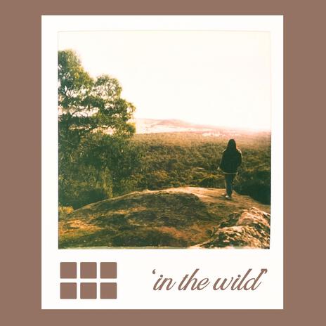 In the Wild | Boomplay Music