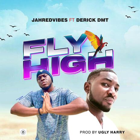 FLY HIGH | Boomplay Music