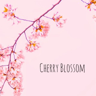 Cherry Blossom