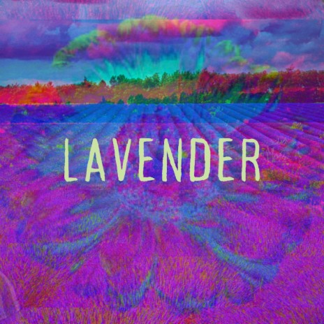 Lavender