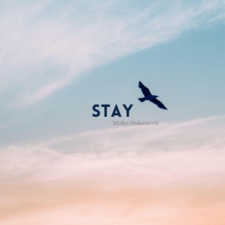 Stay