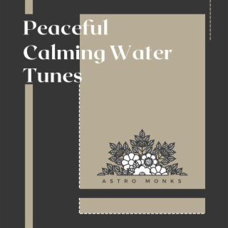 Peaceful Calming Water Tunes