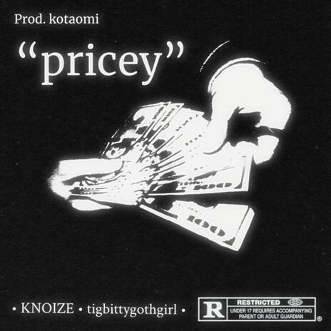 pricey ft. tigbittygothgirl | Boomplay Music