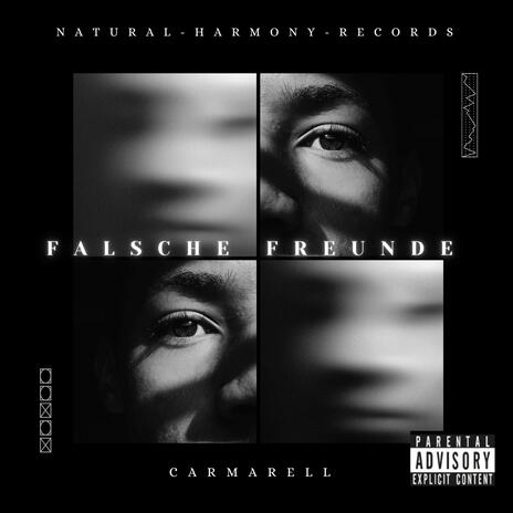 Falsche Freunde | Boomplay Music