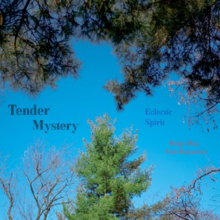 Tender Mystery