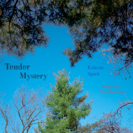 Tender Mystery: Joy ft. Diego Diaz & Eclectic Spirit