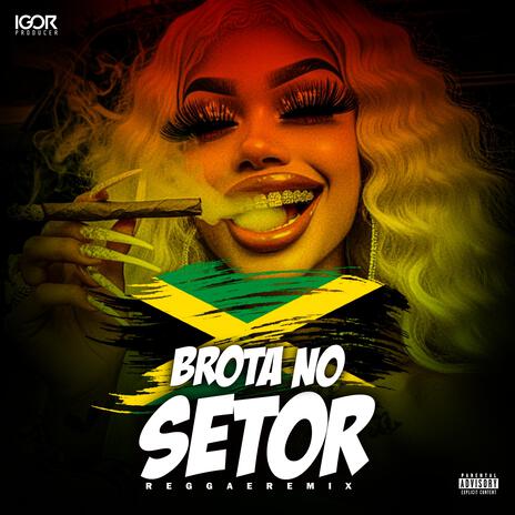 BROTA NO MEU SETOR (Reggae Funk Remix) | Boomplay Music