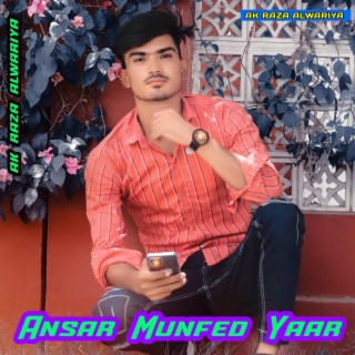 Ansar Munfed Yaar