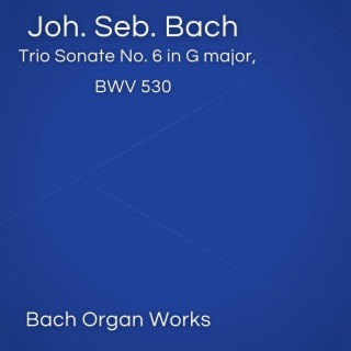 Trio Sonate No. 6 in G major, BWV 530 (Johann Sebastian Bach, Epic Organ, Classic)