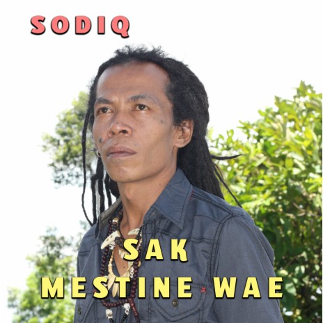 Sak Mestine Wae | Boomplay Music