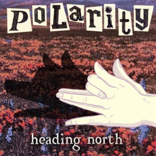 Polarity lyrics | Boomplay Music