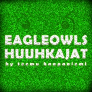 EagleOwls (Huuhkajat)