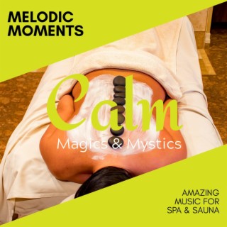 Melodic Moments - Amazing Music for Spa & Sauna