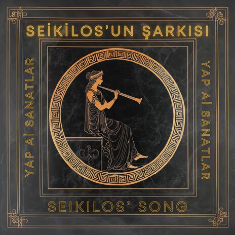 SEİKİLOS'UN ŞARKISI - SEIKILOS SONG | Boomplay Music