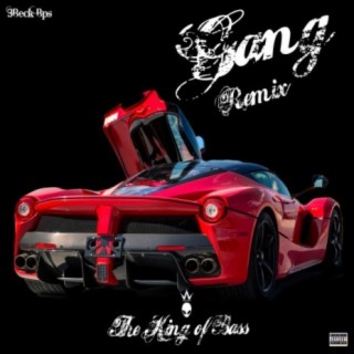 Gang (Remix)