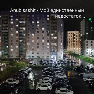 Мой единственный недостаток...