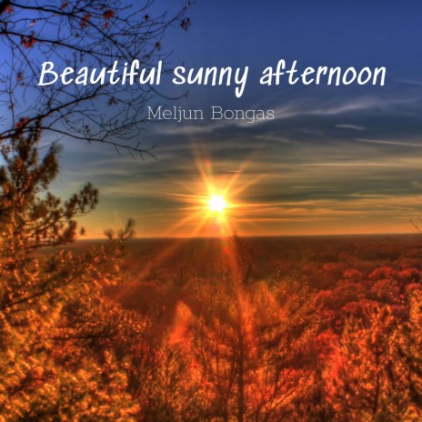 Beautiful sunny afternoon | Boomplay Music