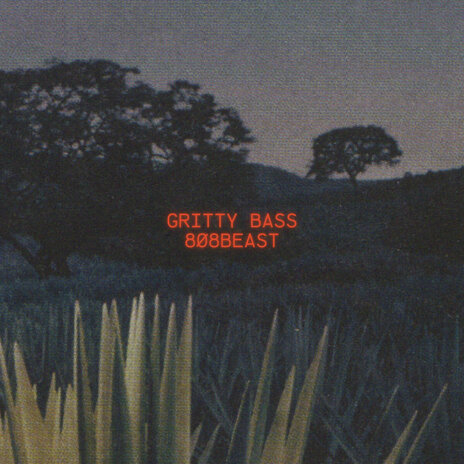 gritty bass | Boomplay Music