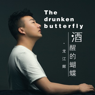 破茧化成蝶（DJ版） (其他) lyrics | Boomplay Music