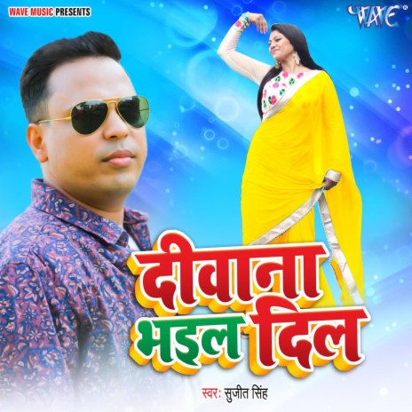 Deewana Bhail Dil | Boomplay Music