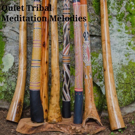 Perth Tribe Didgeridoo