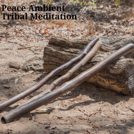 Didgeridoo Tribal Drumming (Ancient Meditation)