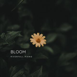 Bloom (Full version)