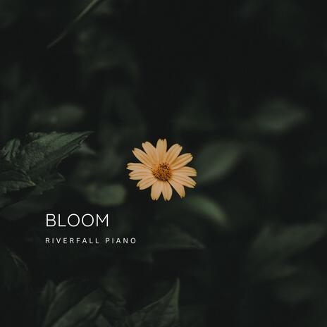 Bloom (Full version) | Boomplay Music