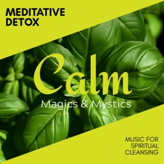 Meditative Detox - Music for Spiritual Cleansing