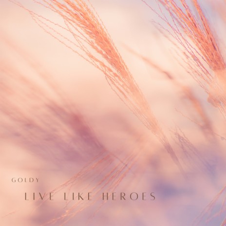 Live Like Heroes | Boomplay Music