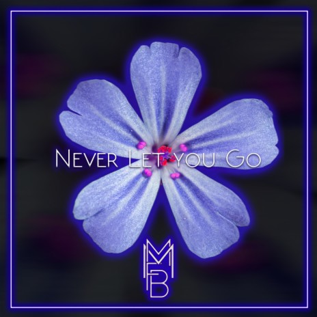 Never Let You Go | Boomplay Music