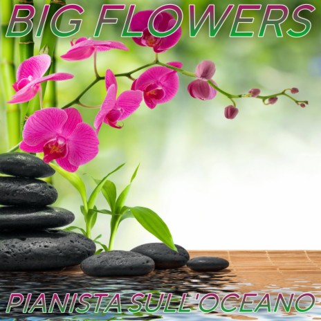 Big Flowers | Boomplay Music