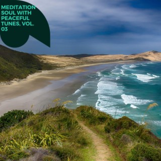 Meditation Soul with Peaceful Tunes, Vol. 03