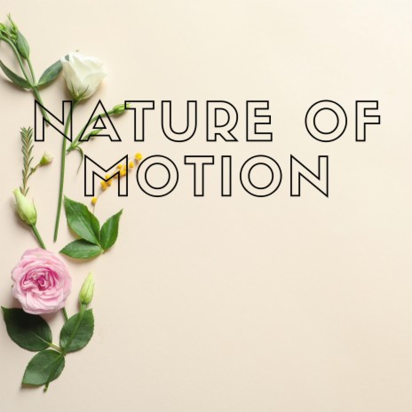 Nature of Motion | Boomplay Music