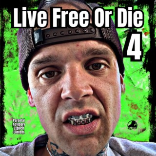 Live Free Or Die 4