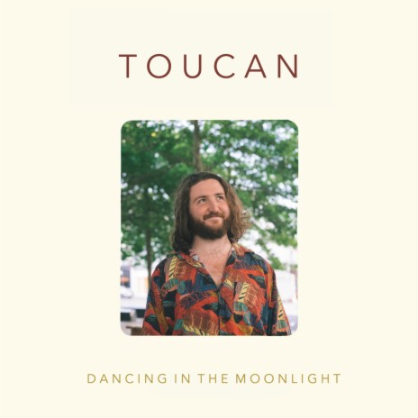 Dancing in the Moonlight | Boomplay Music