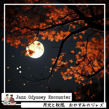 Cool Autumn Wind Warm Moonlight