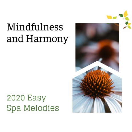 Himalayan Wind ft. Spa Zen Melodies | Boomplay Music