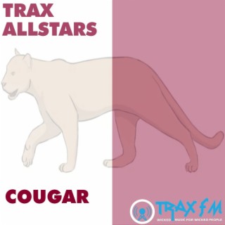 Cougar