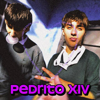 PEDRITO XIV